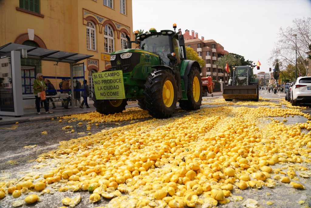 Agricultores arrojaron limones en la puerta de la Subdelegación del Gobierno de Málaga el pasado 13 de marzo, aquejados del mismo problema que los agricultores valencianos. 