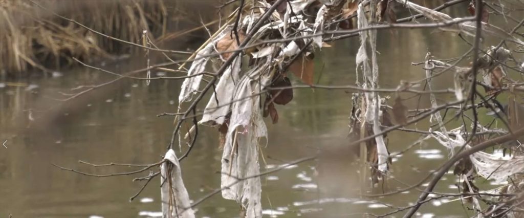 Algunos ríos y arroyos afluentes del Tajo se han convertido en auténticos colectores de porquería, con aguas colmatadas de residuos, toallitas, etc.