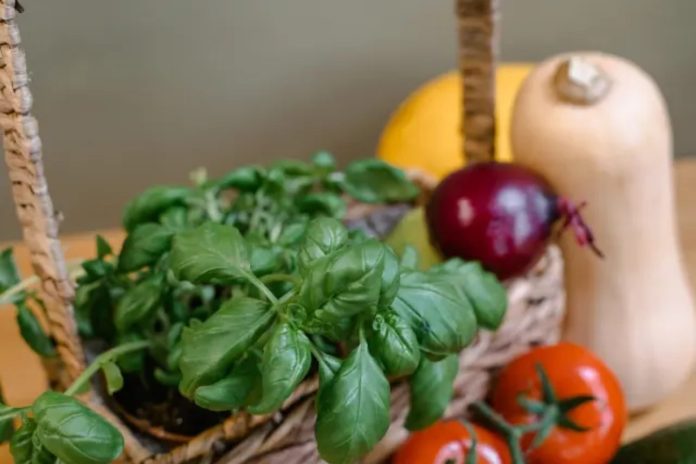 5 alimentos que frenan la prediabetes en seco: Del plato a tu páncreas