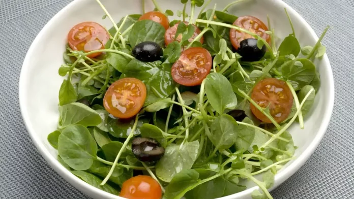 El Superalimento Que Ignoras y la Ciencia Recomienda