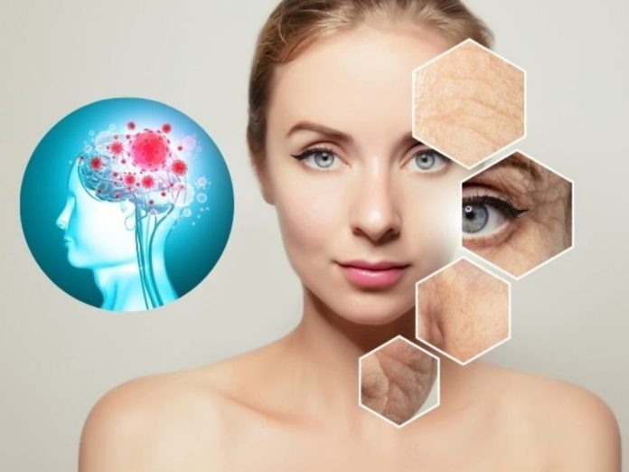 Estrés Oxidativo, que es y por qué es la nueva amenaza para tu salud