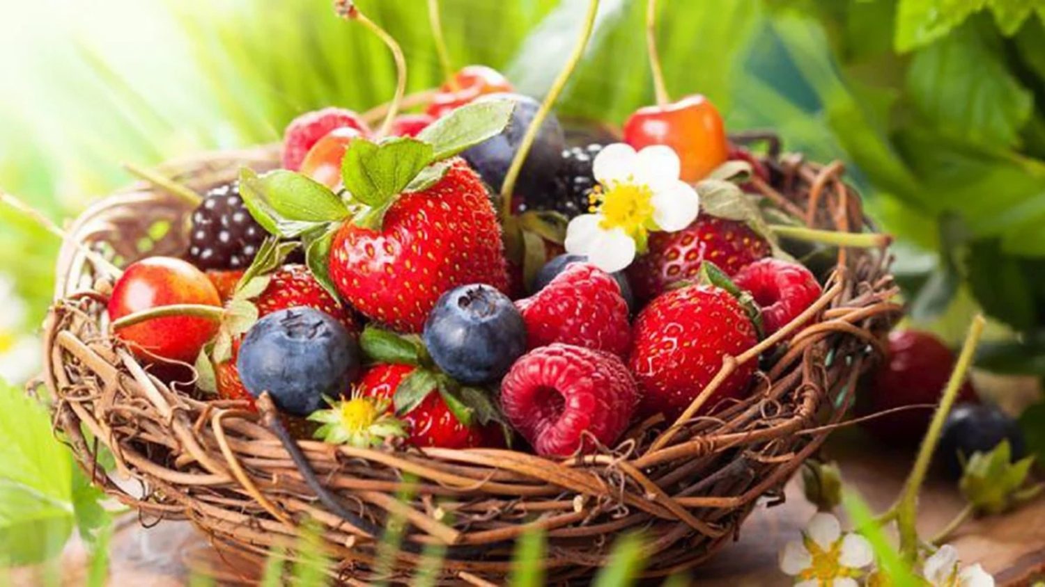 6 frutas silvestres que curan más rápido que un medicamento 1 Moncloa 6 frutas silvestres que debes consumir