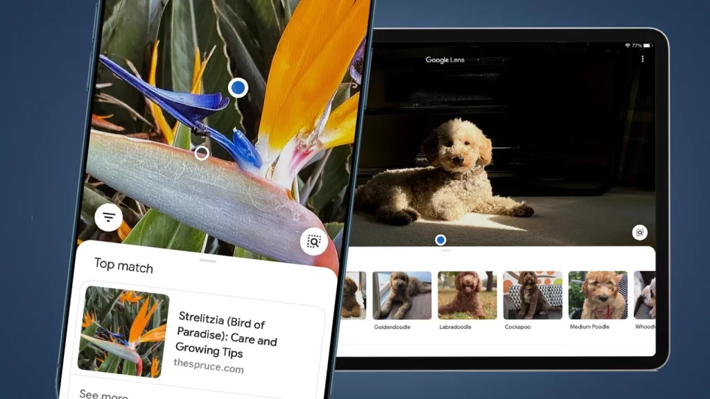 La función de Google que cambiará tu iPhone o Android para siempre 2 Moncloa Para qué sirve Google Lens