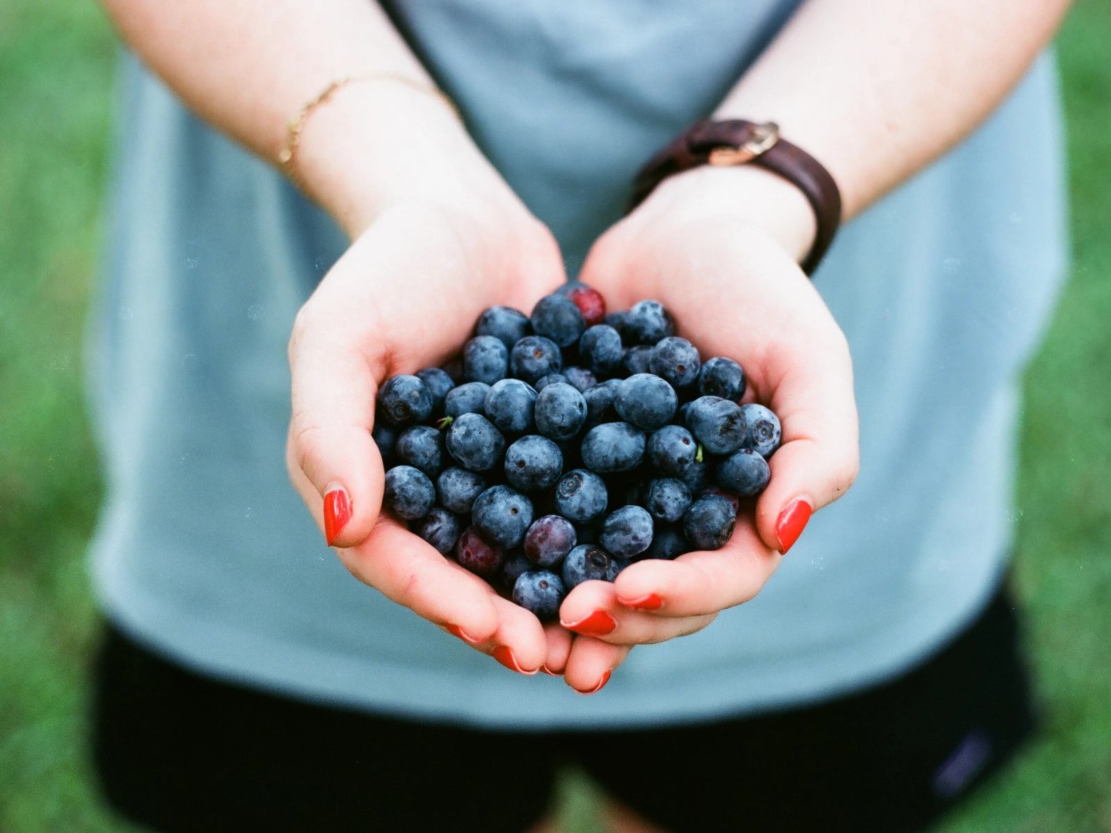 ALIMENTO CASERO SUPERPODEROSO: PROPIEDADES ANTIOXIDANTES