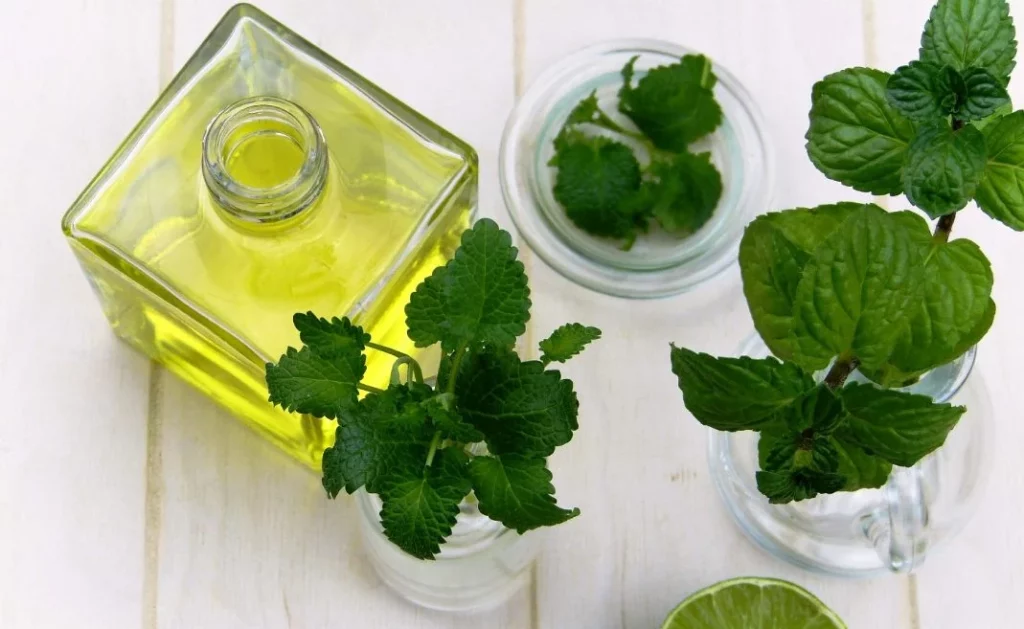 Esta es la hierba medicinal ideal para acabar con la sensibilidad en los dientes 2 Moncloa Así debes utilizar el enjuague bucal de menta