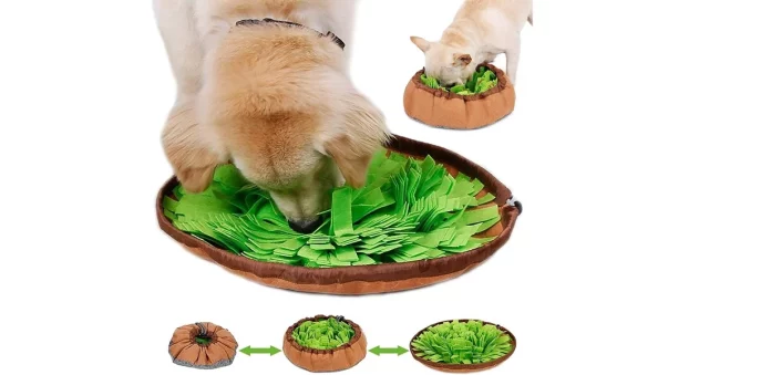 Amazon: esenciales para cuidar de tus mascotas