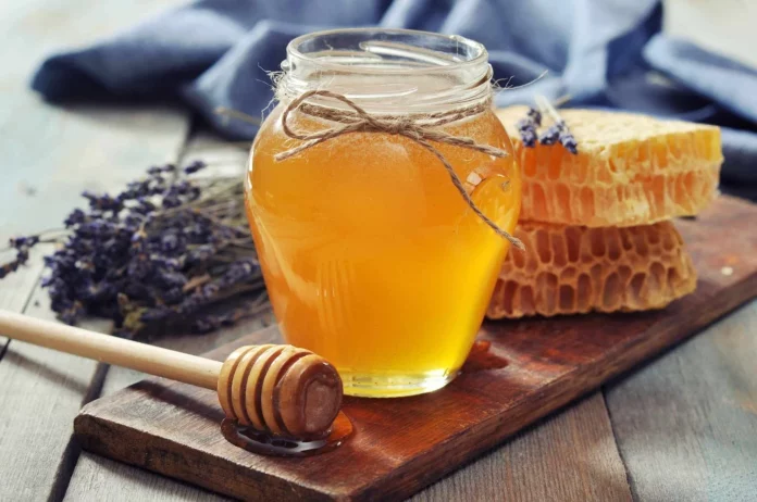 El alimento con vitamina B que frena el envejecimiento y protege tu cerebro