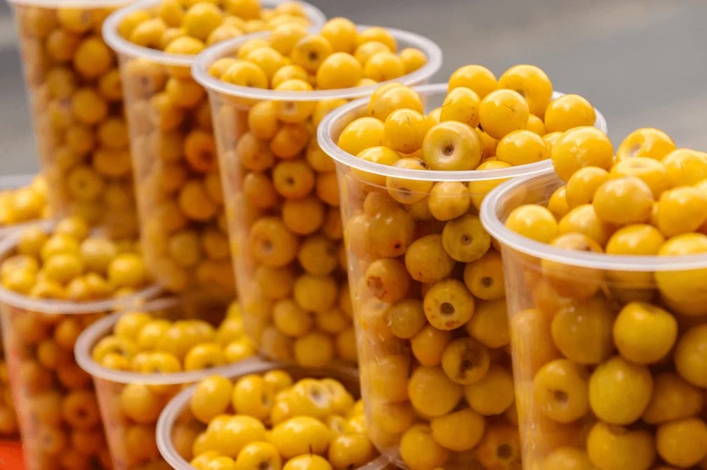 La fruta desconocida que te combate el envejecimiento y que debes empezar a consumir ya 1 Moncloa ¿Por qué come nanche para combatir el envejecimiento?