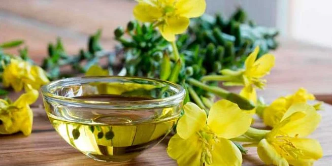 La planta medicinal efectiva para eliminar los sofocos de la menopausia en solo minutos 1 Moncloa Esta es la planta medicinal ideal para aliviar los sofocos de menopausia