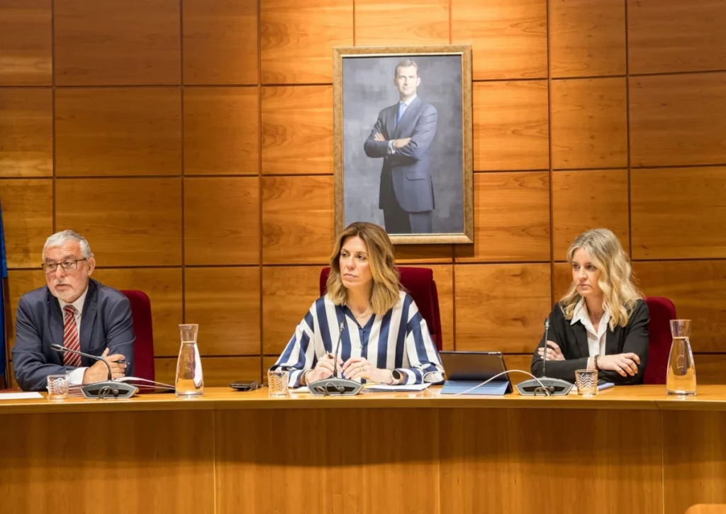 Vox quería que el Ayuntamiento instara a revocar la elección de la Secretaria General adjunta de la Federación Madrileña de Municipios (FMM), Natalia de Andrés.