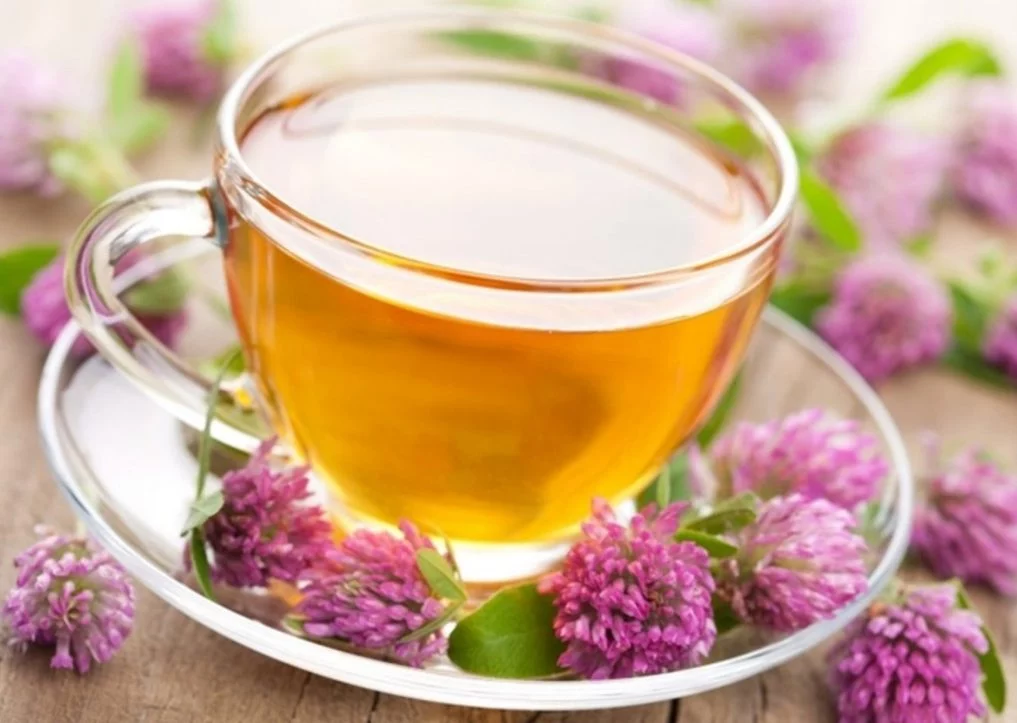 Dormir mejor y otros tres efectos de la valeriana que no conocías