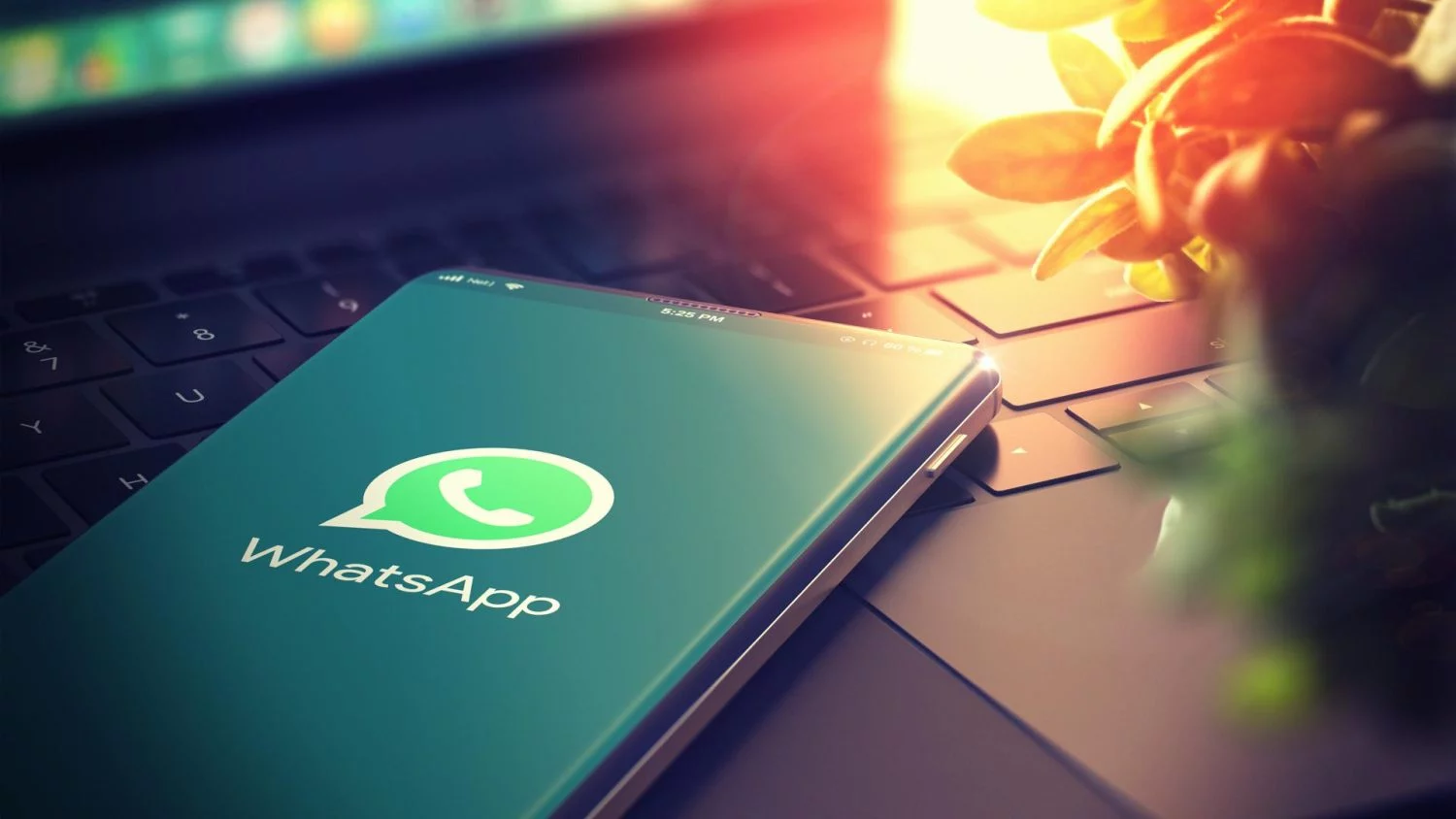 WhatsApp te lo pone fácil: ya puedes marcar a tus contactos favoritos