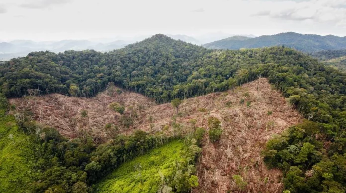 La ciudad perdida del mono que se convirtió en más que un mito