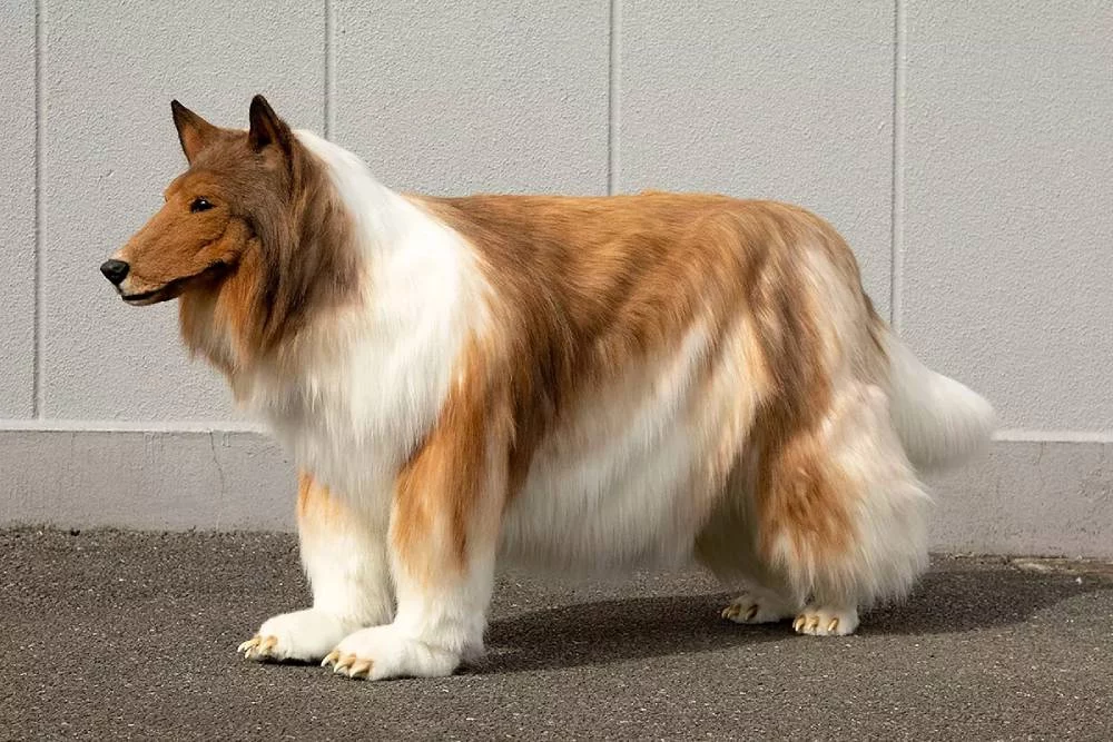De humano a animal: Toko quiere ser de otras especies
