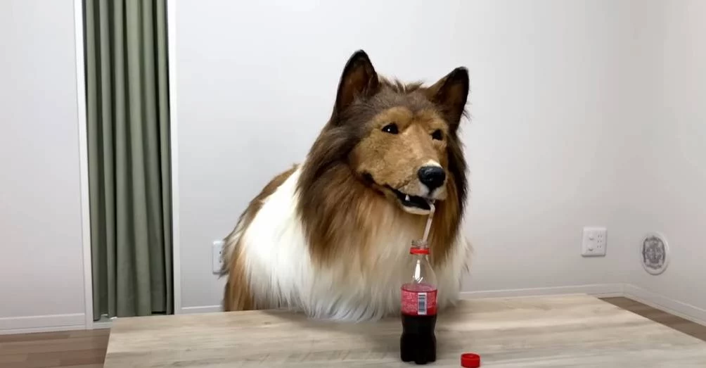Es humano, decidió convertirse en un perro y su historia se volvió viral