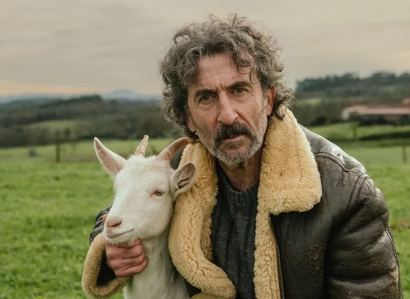 'Animal Salvaje', la nueva serie de Netflix protagonizada por Luis Zahera que no te puedes perder
