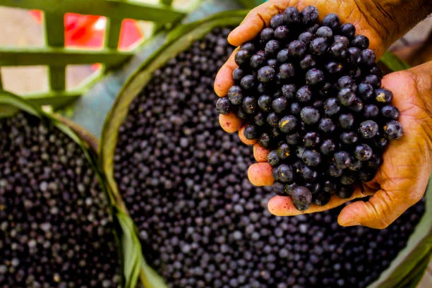 El açaí contiene muchas vitaminas A, C y E