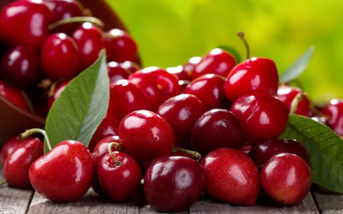 Alivia tu dolor muscular con cerezas, la fruta milagrosa post-ejercicio
