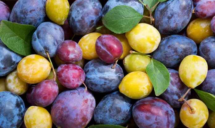 Fortalece tus músculos naturalmente con la ciruela, el superalimento más potente que el huevo y la carne