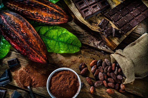 El cacao y el desarrollo de la flora intestinal