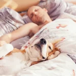 Estos son los 3 beneficios de dormir con tu perro en la cama: están causando revuelo en TikTok