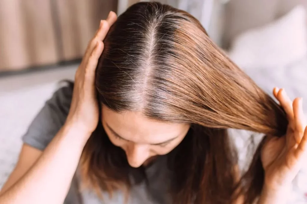 Elimina las canas sin usar químicos con estas 3 plantas 1 Moncloa Estas son las plantas que puedes usar para cubrir las canas de forma natural