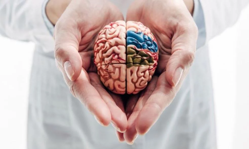 3 hábitos que fortalecen el cerebro y no requieren nada de esfuerzo 1 Moncloa Aprender una nueva habilidad para mejorar la salud del cerebro