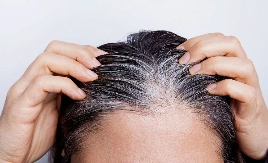 Elimina las canas sin usar químicos con estas 3 plantas