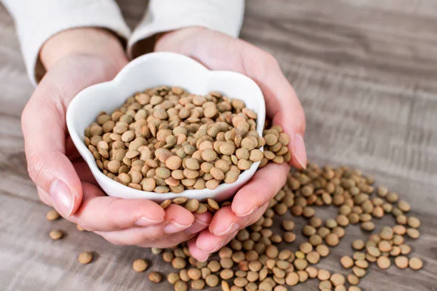 Descubre la legumbre cargada de hierro que revitaliza tu cuerpo 2 Moncloa Beneficios de consumir lentejas