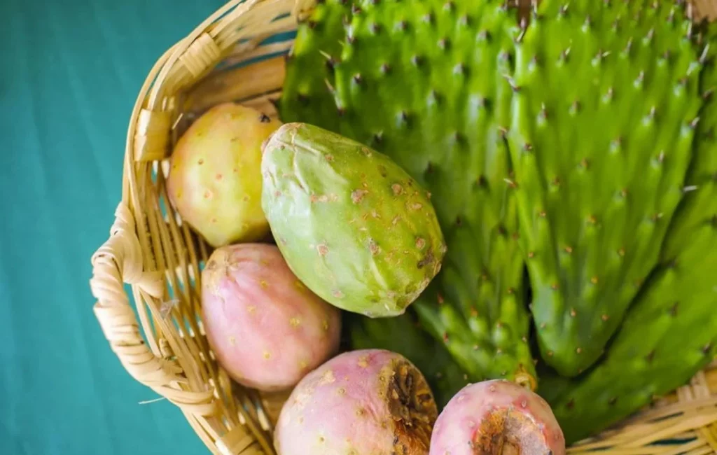 Un superalimento ideal para fortalecer el sistema inmunológico
