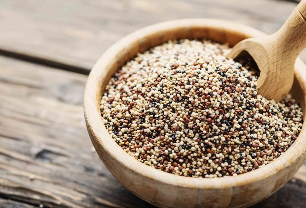 Receta nutritiva de tortillas de quinoa saludables y sin gluten