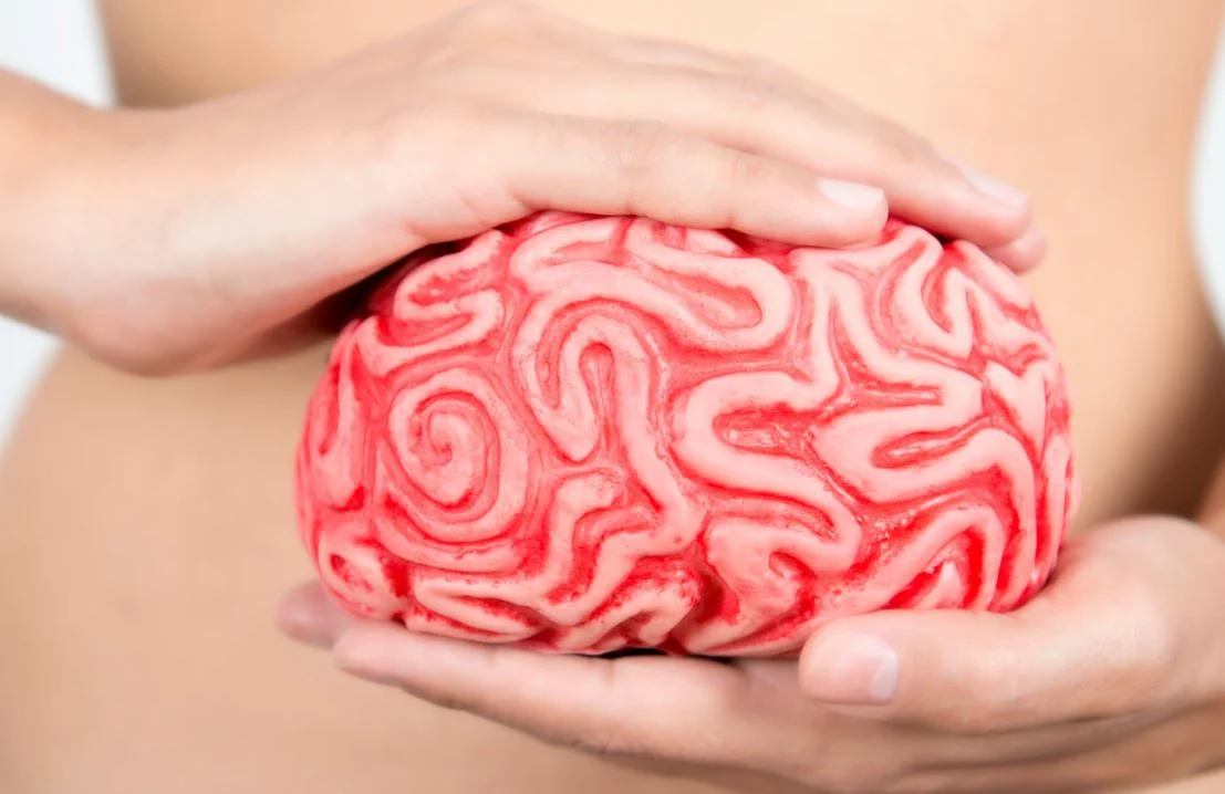 La salud mental tiene relación con los intestinos y esta es la razón que debes evitar