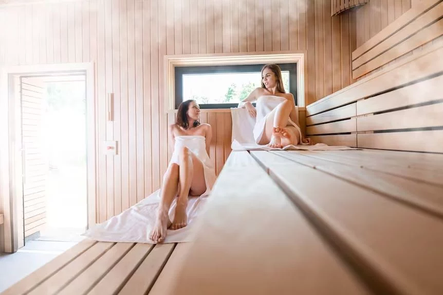 El sauna en un estilo enviada sano