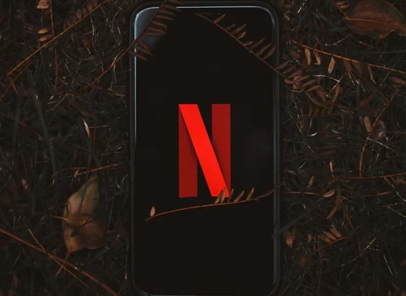 NETFLIX DESMIENTE HABER ESTADO TRABAJADO EN ESTE PROYECTO