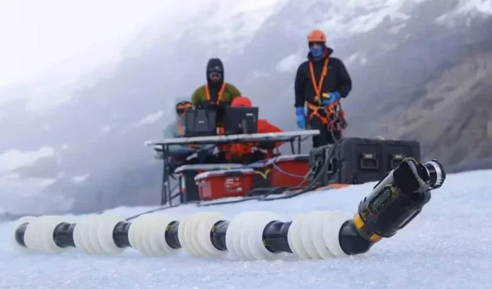 Crearon un robot serpiente y puede descubrir vida en otros planetas