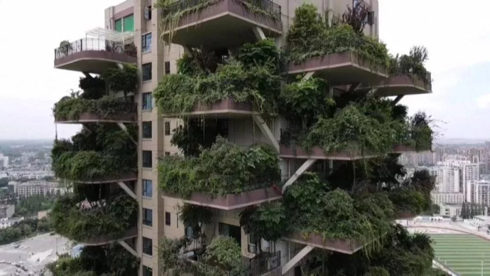 Descubre la nueva maravilla China: el edificio de selva