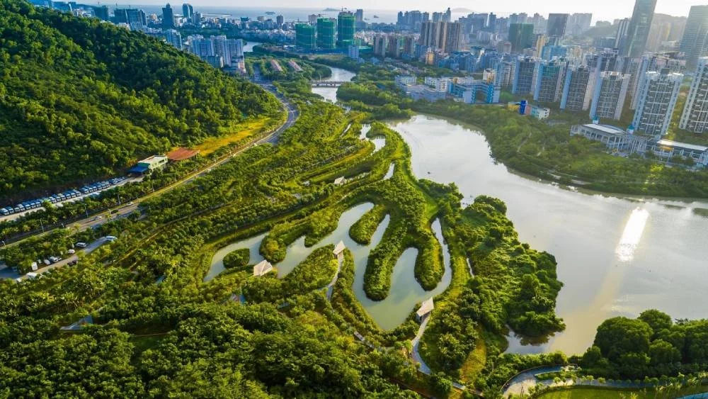 Ciudades esponja: cómo optimizan el uso del agua de lluvia y promueven la infraestructura verde en áreas urbanas