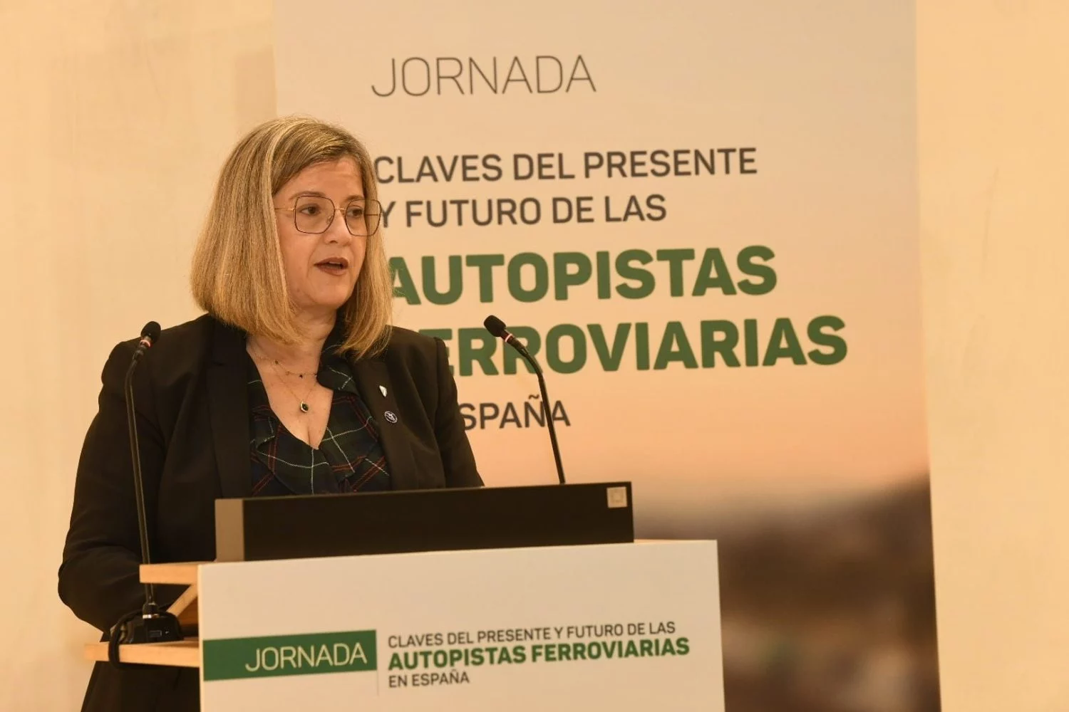 María Luisa Domínguez, ex presidenta de ADIF.