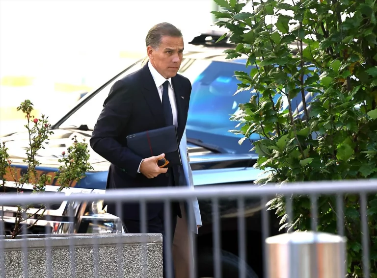 Los detalles de la vida del hijo del presidente Joe Biden