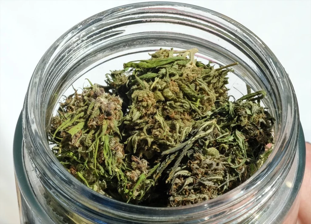 La decisión de Países Bajos con respecto al consumo legal de cannabis 2 Moncloa EuropaPress 6029852 filed 02 april 2019 berlin dried hemp buds can be seen in glass jar at the Moncloa