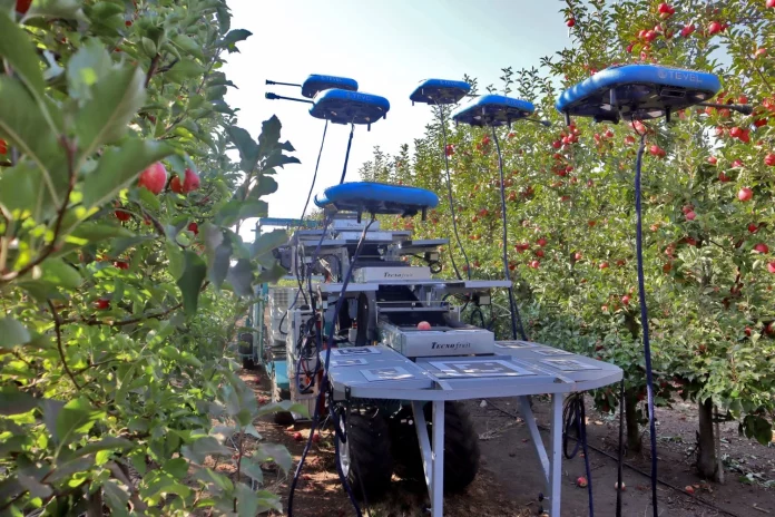 Robot deja sin empleo a miles de trabajadores rurales con un dron que cosecha manzanas