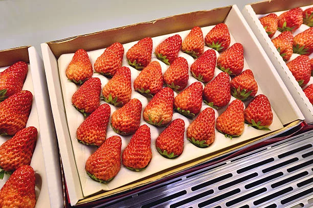 El truco para conservar las fresas perfectas durante más tiempo en la nevera