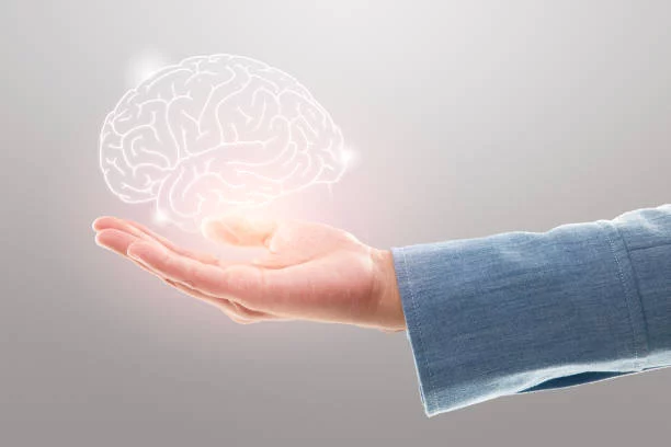 Este es el único fruto que ataca a tu cerebro y le quita años de encima en una semana