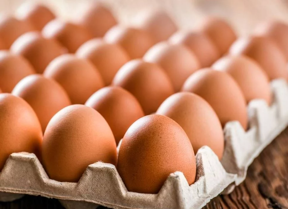 Este es el único momento del día en el que debes comer huevos para bajar de peso 1 Moncloa Así debes comer huevos para bajar de peso