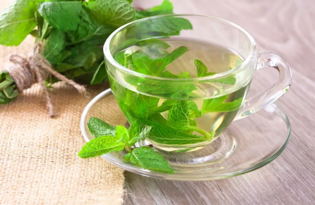 Elimina el vello facial con este remedio natural avalado por la ciencia 1 Moncloa ¿El té de menta elimina el vello facial en todos los casos?