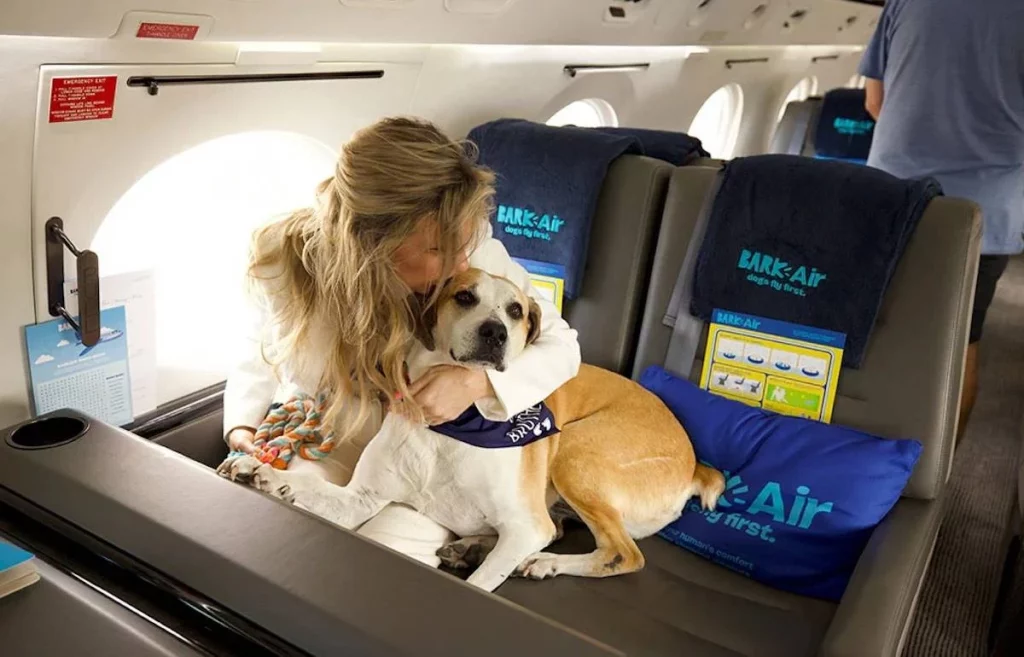 Así es la aerolínea exclusiva para perros 1 Moncloa Todos los detalles de la primer aerolínea canina