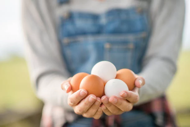 El superalimento español con el doble de proteínas que el huevo que debes incluir hoy mismo a tu dieta