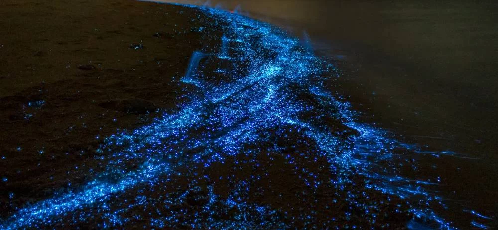 La maravilla del mar de lágrimas azules: Cómo visitarlo este verano 1 Moncloa Una maravilla única objeto de estudio
