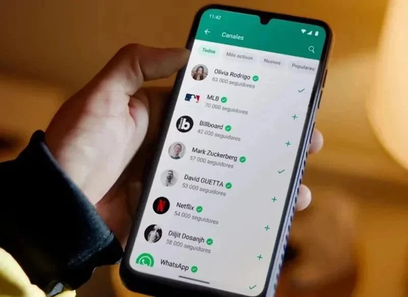 ¿SIMILAR A LOS CHATS ANCLADOS?