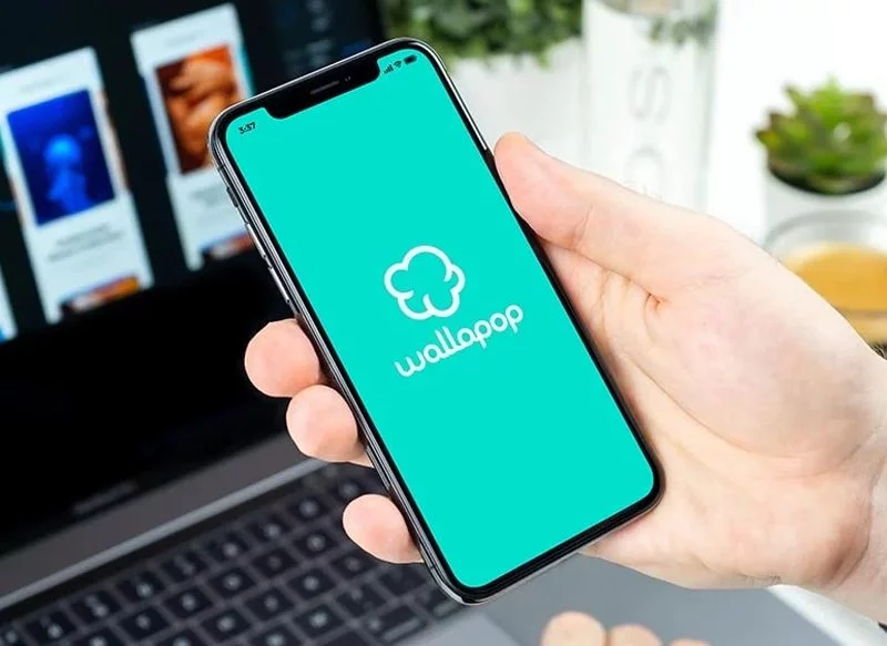 LOS CIBERDELINCUENTES, PENDIENTES DE WALLAPOP
